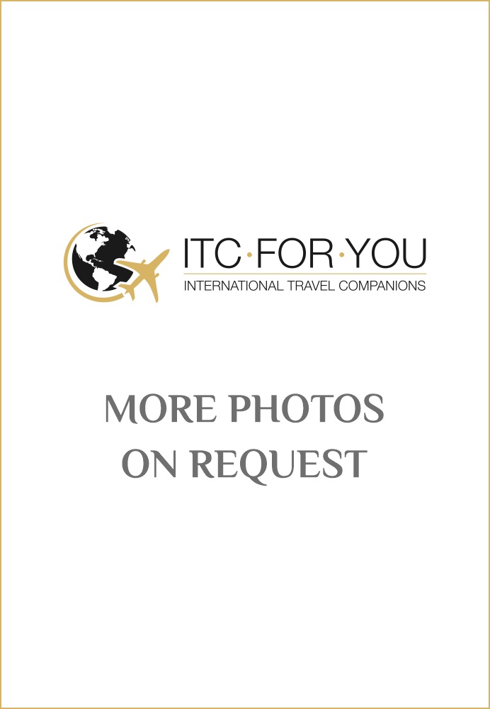 Travel companion escort BRIDGITTE - ITC FOR YOU 5